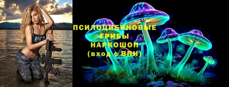 hydra   дарнет шоп  Куровское  Псилоцибиновые грибы Psilocybine cubensis 